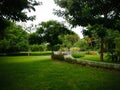 Natural Cloudy Atmosphere Of The Garden In The Rainy Season At Tangguwisia Village