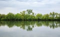 Natural cloudy background with trees reflected as a mirror in a calm pond during the spring rain