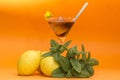 Natural cocktail on orange background