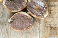 natural cocoa chocolate paste during Breakfast, close up Royalty Free Stock Photo