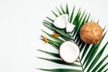 Natural coconut oil for hair, SPA organic cosmetic concept. Flat lay, top view tropical palm leaf, coconuts, essential oil bottles Royalty Free Stock Photo