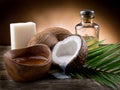 Natural coconut walnut oil Royalty Free Stock Photo