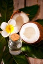 Natural coconut walnut oil with coconut and flower nearby Royalty Free Stock Photo