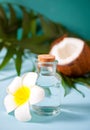 Natural coconut walnut oil with coconut and flower nearby Royalty Free Stock Photo