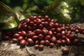 Natural coffee beans in the shell lie on plantations. generative ai Royalty Free Stock Photo