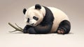Panda on a Natural Color Isolated Background Royalty Free Stock Photo