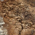 Natural Color Old Wood Grain Log Square Frame Texture Close-Up Royalty Free Stock Photo