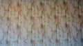 Natural color wood grain, use as background.
