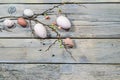 Natural colored Easter eggs and a branch with few flowers on a rustic gray wooden background, copy space, high angel view from