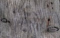 Natural colored old wood texture, macro shot Royalty Free Stock Photo