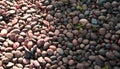 Natural colored pink pebble stones with radial sunlight. Rock abstract pattern texture background. Top view, horizontal image. Royalty Free Stock Photo