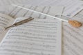A natural conductors baton on orchestral score Royalty Free Stock Photo