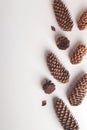 Natural cone composition pattern on white