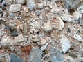 Natural conglomerate rock