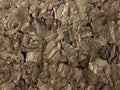 Natural Cork Texture Background Close Up Brown Organic Tree Bark Pattern Rustic Surface Royalty Free Stock Photo