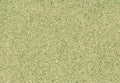 Natural cork texture in green color