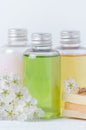 Natural cosmetic bottles and soap bar with fresh flowers Royalty Free Stock Photo