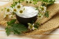 Natural cosmetic cream lotion with camomile Royalty Free Stock Photo