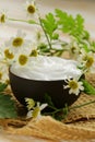 Natural cosmetic cream lotion with camomile Royalty Free Stock Photo