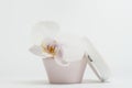 Natural cosmetic face cream in a jar and orchid Royalty Free Stock Photo