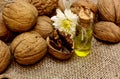 Natural cosmetic oil, essential oils, from nuts walnuts and autumn flower Royalty Free Stock Photo