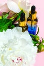 Natural Cosmetic product Pipette bottle on pink and peony flowers. Organic beauty serum, liquid facial oil.