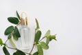 Natural cosmetic skincare bottle and organic green leaf on white background. Home made remedy and beauty product concept Royalty Free Stock Photo