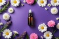 natural cosmetics. blank glass essence oil bottle with chamomile flowers, flatlay composition Royalty Free Stock Photo