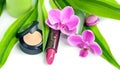 Natural cosmetics: concealer and lipstick Royalty Free Stock Photo