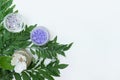 Natural cosmetics ingredients on white background with copy space Royalty Free Stock Photo