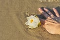 White lily flower in woman`s hand, river water sand background Royalty Free Stock Photo