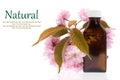 Natural cosmetics - oil, herbal