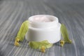 Natural cosmetics products -facial cream of linden on grey background