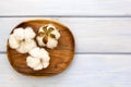 Natural cotton flowers on wooden plate on white background. Delicate organic floral blossom, top view, flat lay