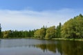 A natural country park and a lake. Deciduous forest area. A seagull over the river. Blue sky Royalty Free Stock Photo