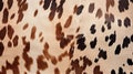 natural cow hide pattern Royalty Free Stock Photo