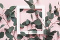 Natural creative background. Eucalyptus branches and white square frame on pink background. Minimal summer concept