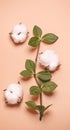 Natural creative pastel concept. Cotone flowers on a beige background Royalty Free Stock Photo