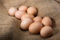 Natural crude eggs on a bag. Crude products