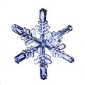 Natural crystal snowflake macro piece of ice