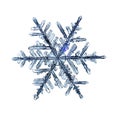 Natural crystal snowflake macro piece of ice Royalty Free Stock Photo