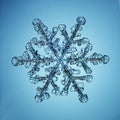 Natural Crystal Snowflake Macro Piece Of Ice