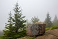 Natural cube-shaped granite stone in Acadia National Park