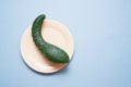 Natural cucumber of an unusual shape on a yellow plate on a blue background.