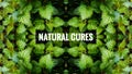 Natural Cures Page Header