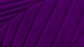 natural cushion pattern of sofa upholstery used as background in purple color tone. close up view of violet cotton woven sofa Royalty Free Stock Photo