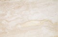 Natural Daino Reale marble texture