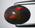 natural dark multicolor rainbow opal gem on the background Royalty Free Stock Photo