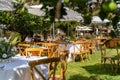 Natural decoration of the outdoor terrace of the restaurant Royalty Free Stock Photo