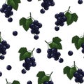 Natural delicious juicy organic berries seamless pattern with blackcurrants, vector color illustration on white background,